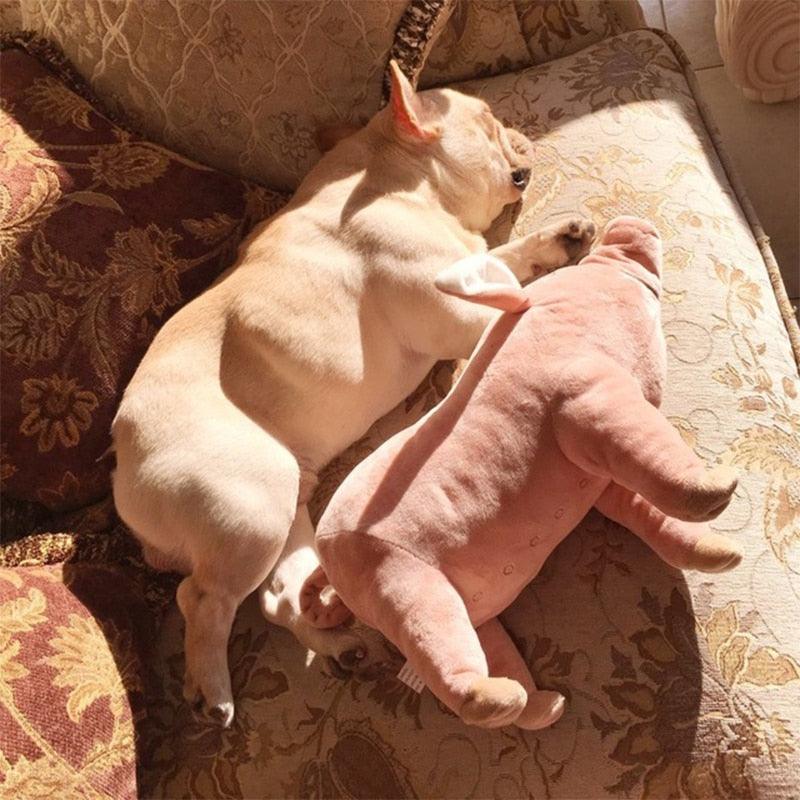 Warm and Soft Pig Shaped Toys for Dogs for Sleeping - Trendha