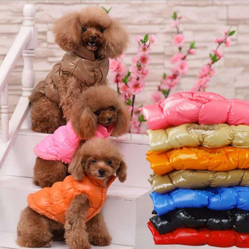Warm Down Coat for Dogs - Trendha