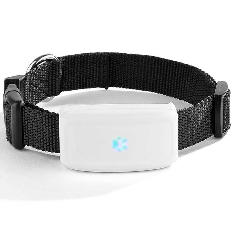 Waterproof GPS Tracker for Pets - Trendha